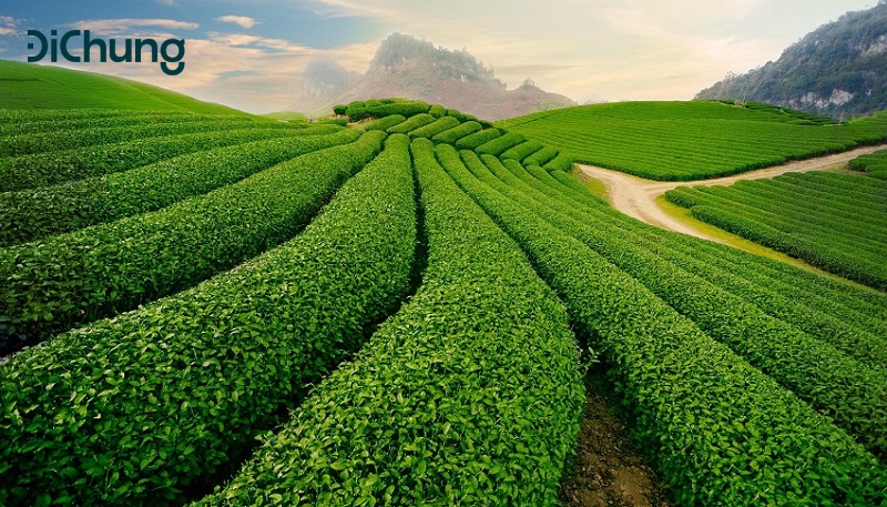 xe limousine đi mai châu - 3