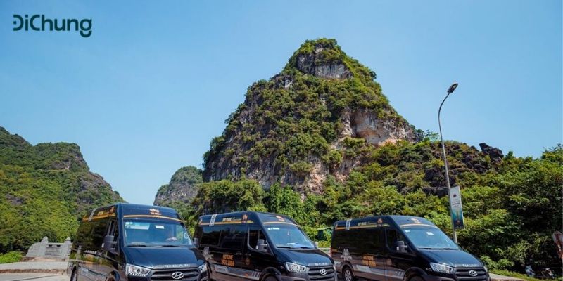 xe limousine Hà Nội Ninh Bình rất đa dạng