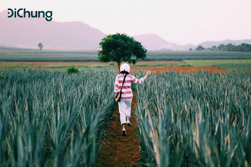 hà nội thái bình - 1