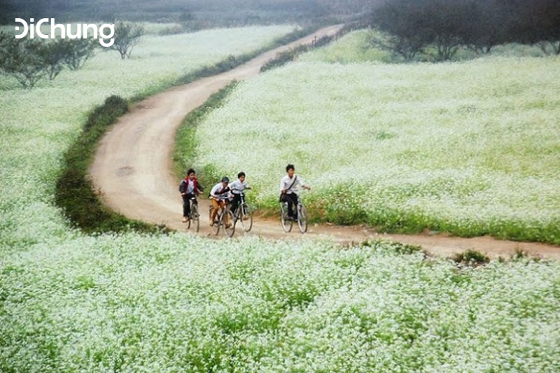 Đi Mai Châu Hòa Bình mùa nào - 1