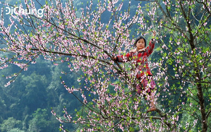 Đi Mai Châu Hòa Bình mùa nào - 2