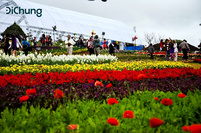 festival hoa đà lạt 2019 - 3