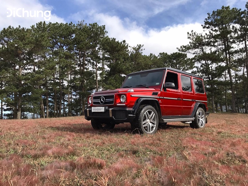 cỏ hồng đà lạt - 3