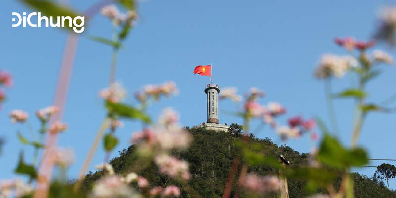 ha-giang-hoa-tam-giac-mach