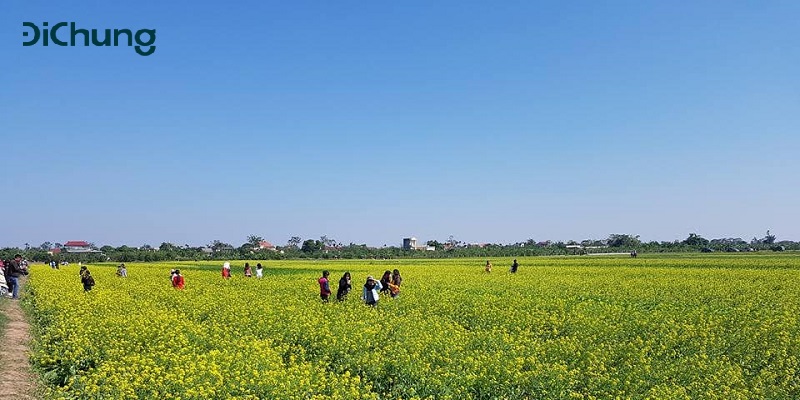 Đặt xe Thái Bình Hà Nội về quê Thái Bình